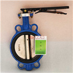 軟密封對(duì)夾蝶閥